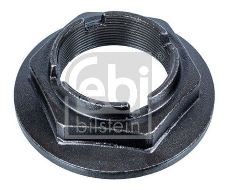 Febi 107430 Nut, kingpin - 1