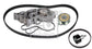 Febi 173354 Water Pump & Timing Belt Kit - 1