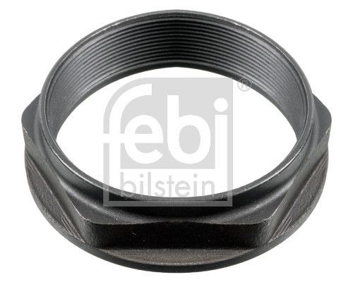 Febi 177825 Nut, kingpin - 1