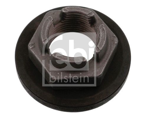 Febi 18695F Nut, kingpin - 1