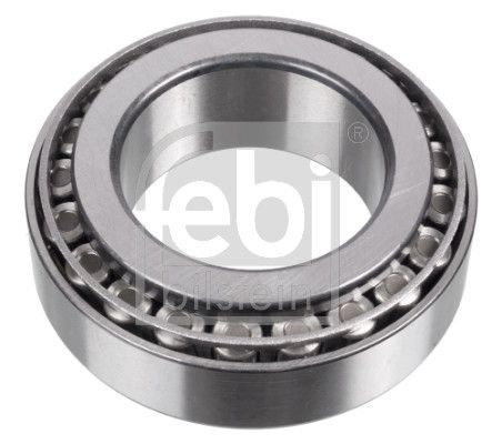 Febi 19789 Wheel Bearing - 1