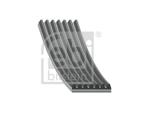 Febi 29033A V-ribbed Belt - 1