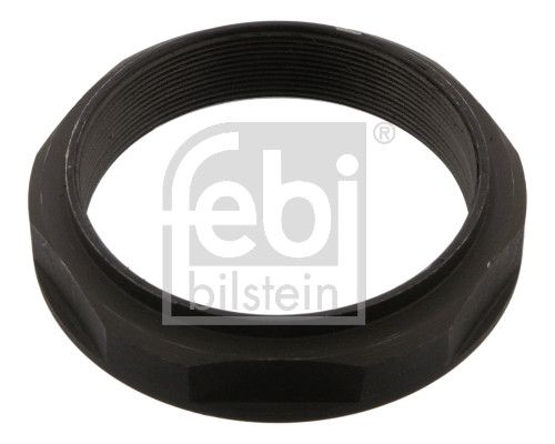 Febi 43603 Nut, kingpin - 1