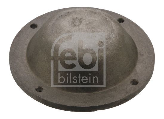 Febi 43768 Protection Lid, wheel hub - 1