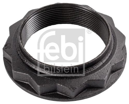 Febi 46180 Nut, kingpin - 1