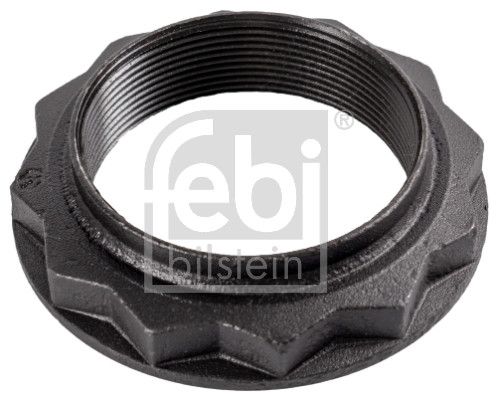 Febi 46180 Nut, kingpin - 1