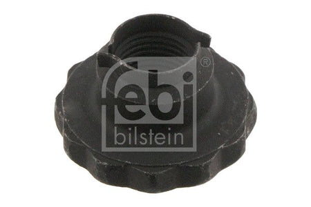 Febi 46689 Nut, kingpin - 1