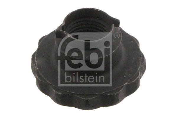 Febi 46689 Nut, kingpin - 1