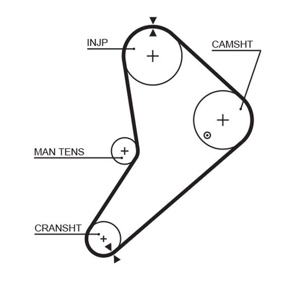 Gates 5021 Timing Belt - 1