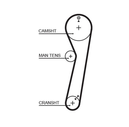 Gates 5029 Timing Belt - 1