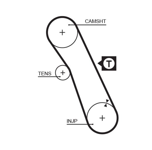 Gates 5055XS Timing Belt - 1