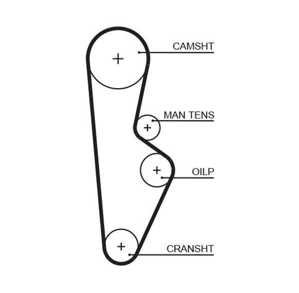 Gates 5082XS Timing Belt - 1