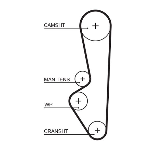 Gates 5094XS Timing Belt - 1