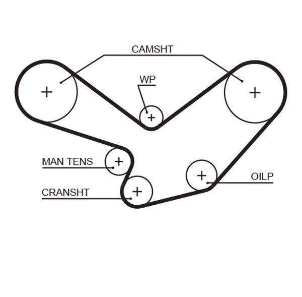 Gates 5096A Timing Belt - 1
