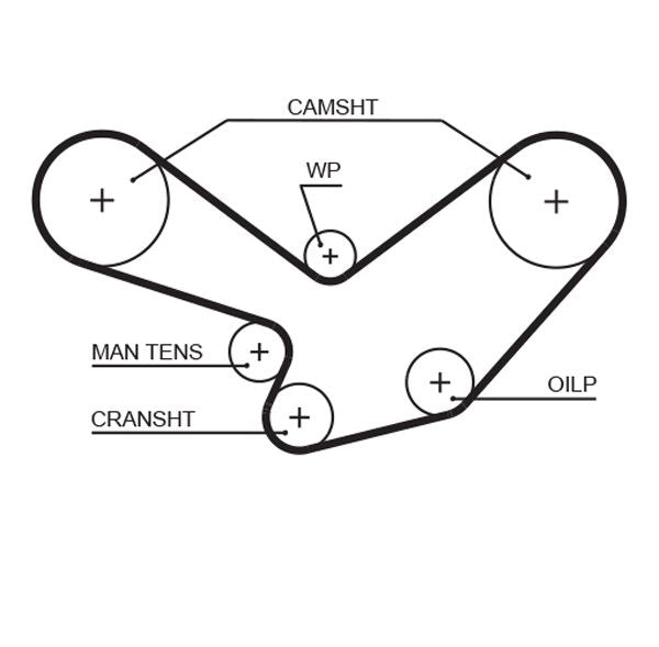 Gates 5098XS Timing Belt - 1