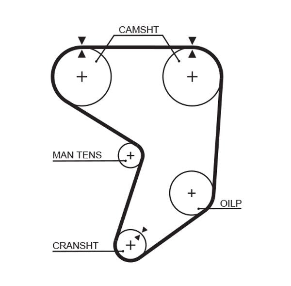 Gates 5195XS Timing Belt - 1