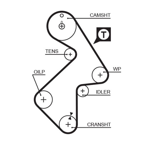 Gates 5202XS Timing Belt - 1