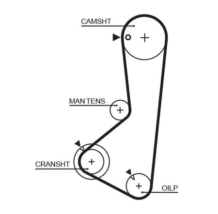Gates 5256XS Timing Belt - 1