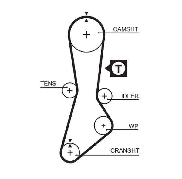 Gates 5264XS Timing Belt - 1