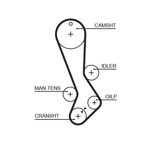Gates 5282XS Timing Belt - 1