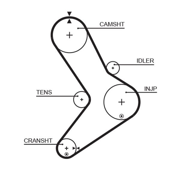 Gates 5334XS Timing Belt - 1