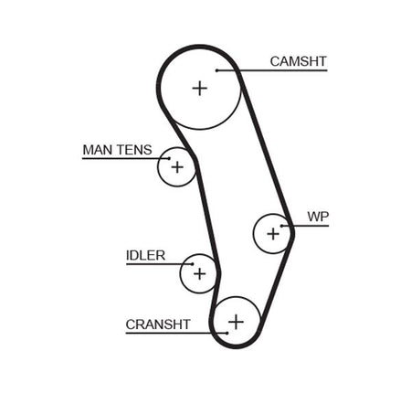 Gates 5346XS Timing Belt - 1