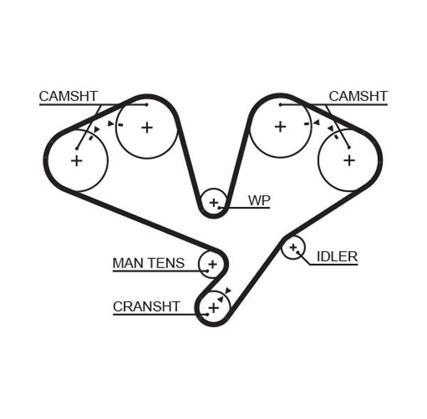 Gates 5353XS Timing Belt - 1