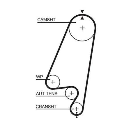 Gates 5367XS Timing Belt - 1