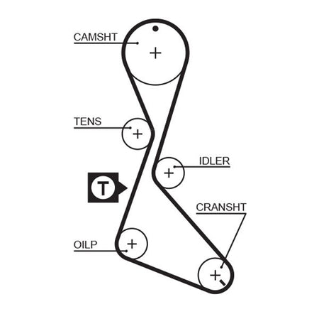 Gates 5370XS Timing Belt - 1
