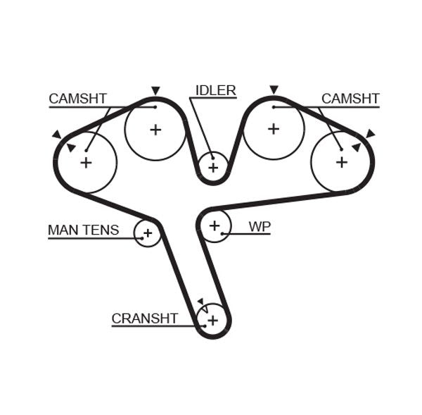 Gates 5376XS Timing Belt - 1
