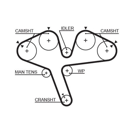 Gates 5376XS Timing Belt - 1