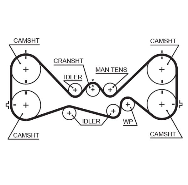Gates 5384XS Timing Belt - 1