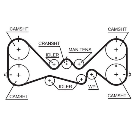 Gates 5384XS Timing Belt - 1