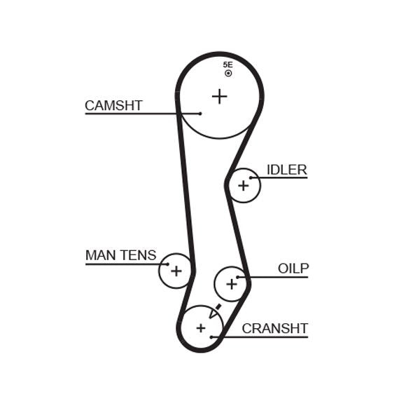 Gates 5389XS Timing Belt - 1