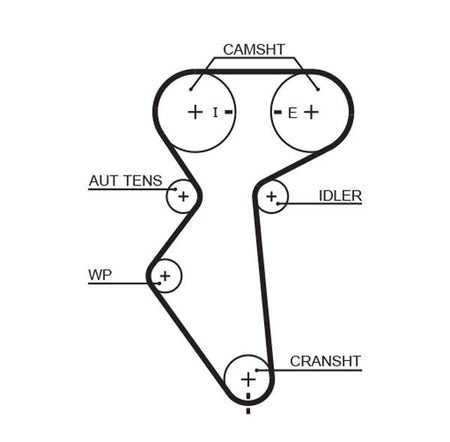Gates 5419XS Timing Belt - 1
