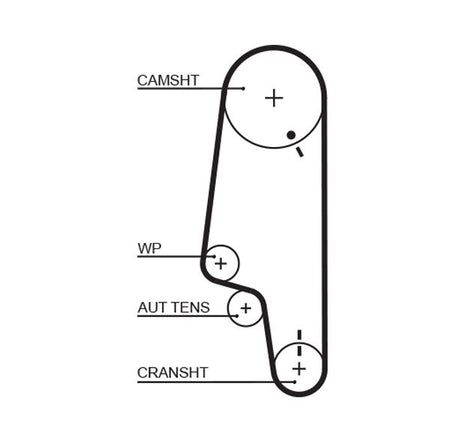 Gates 5428XS Timing Belt - 1