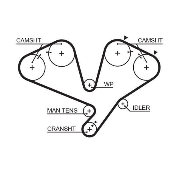 Gates 5442XS Timing Belt - 1