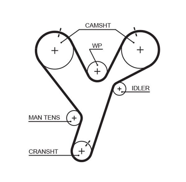 Gates 5446XS Timing Belt - 1