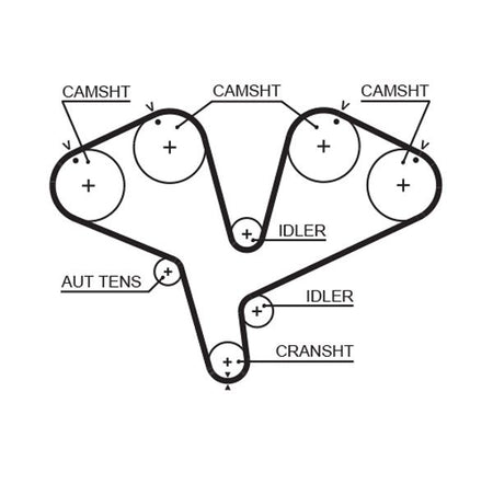 Gates 5453XS Timing Belt - 1