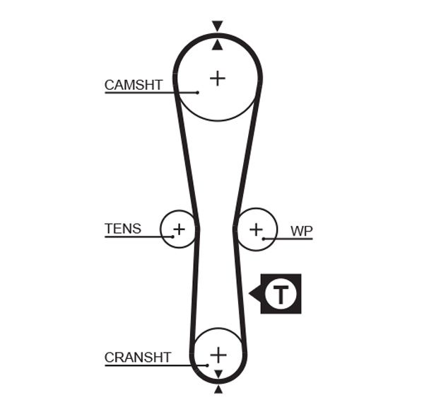 Gates 5454XS Timing Belt - 1