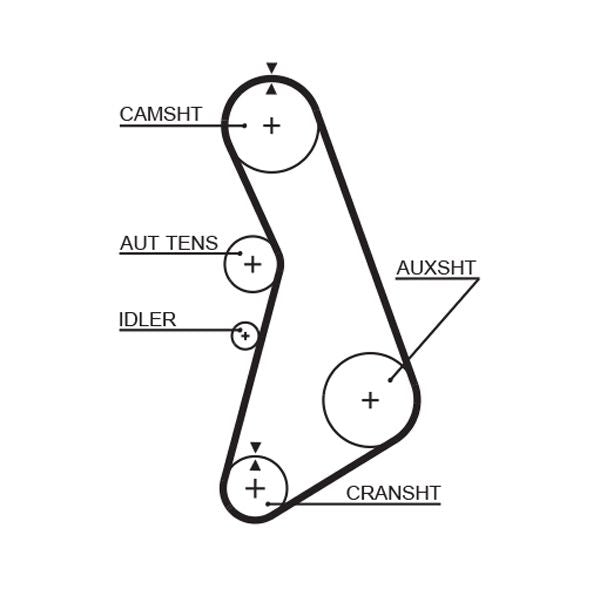 Gates 5492XS Timing Belt - 1