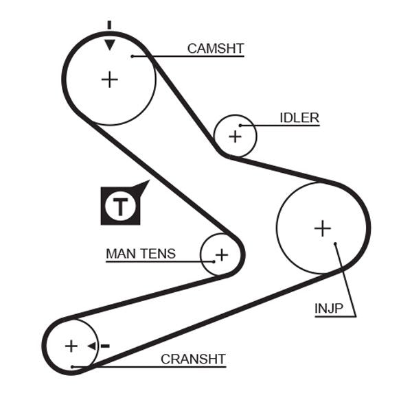 Gates 5495XS Timing Belt - 1