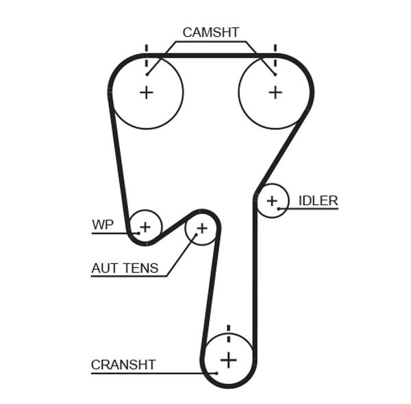 Gates 5509XS Timing Belt - 1
