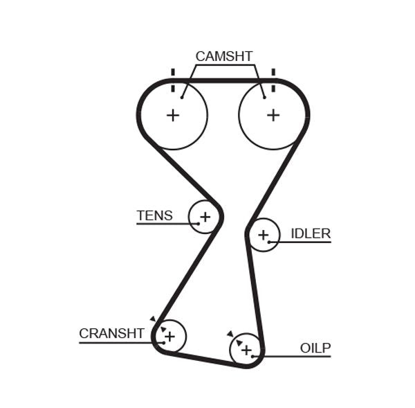 Gates 5534XS Timing Belt - 1