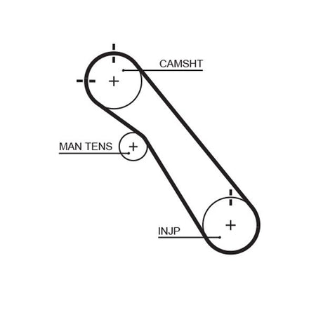 Gates 5548XS Timing Belt - 1