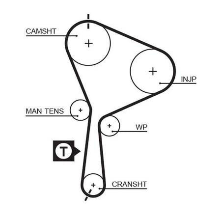 Gates 5552XS Timing Belt - 1