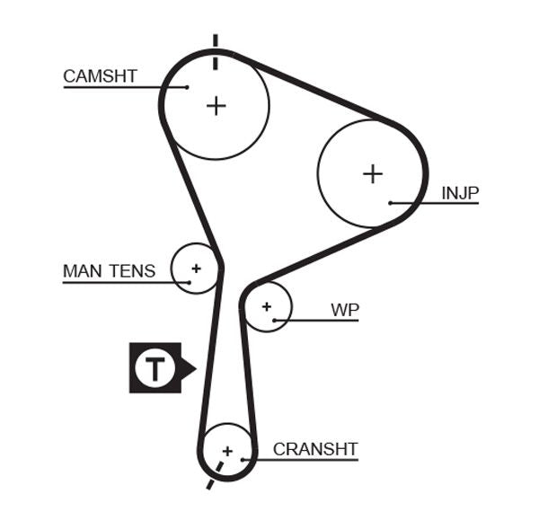 Gates 5552XS Timing Belt - 1