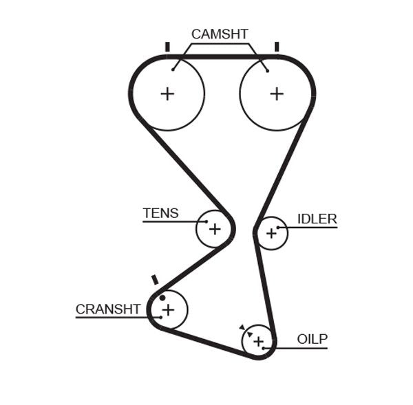 Gates 5556XS Timing Belt - 1