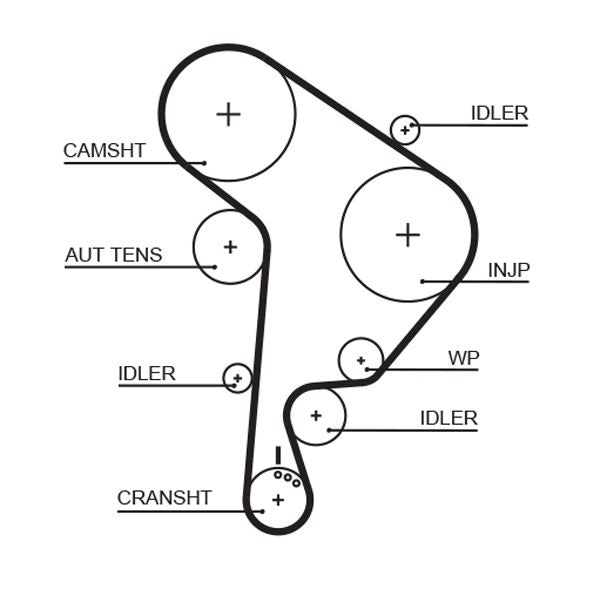 Gates 5559XS Timing Belt - 1