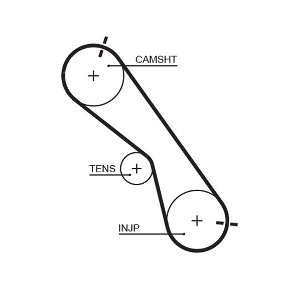 Gates 5560XS Timing Belt - 1